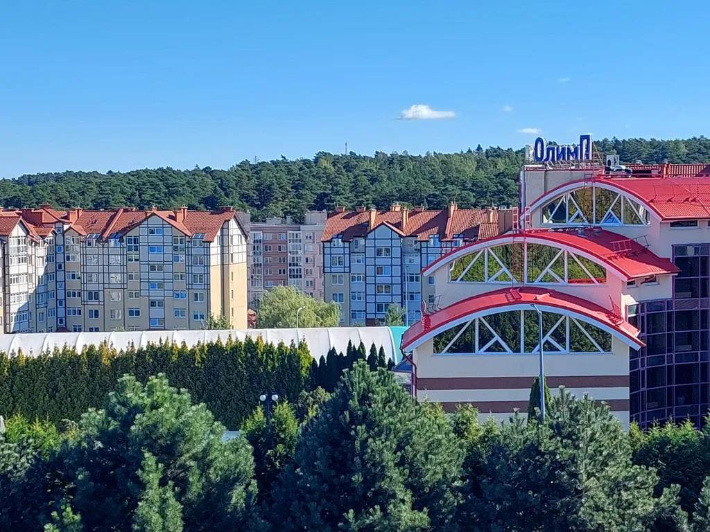 Квартира Уютная квартира — Светлогорск