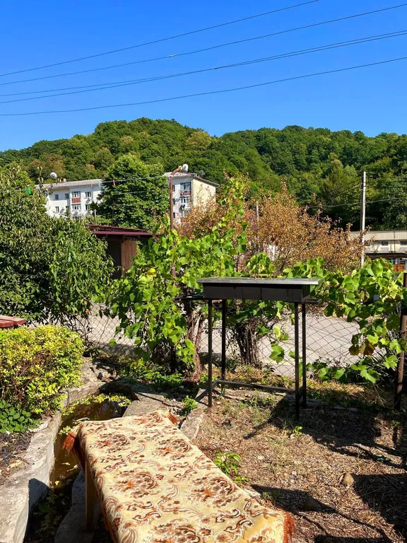 Апартаменты на Черном море с выходом в Карликовую рощу