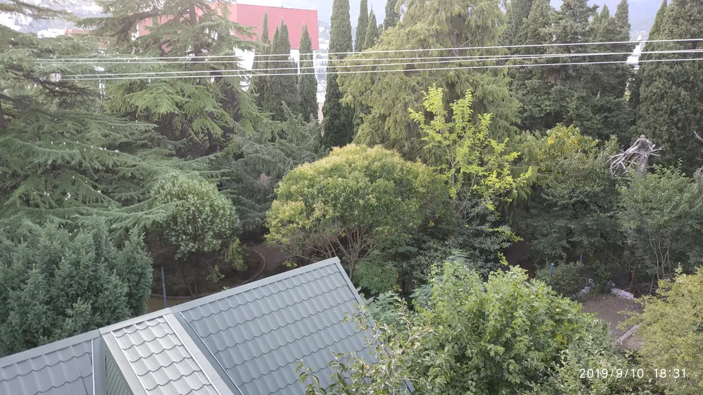 Дом в парковой зоне