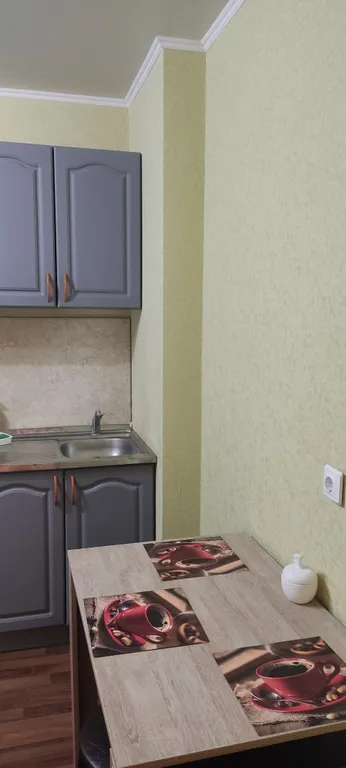 Уютная однокомнатная квартира