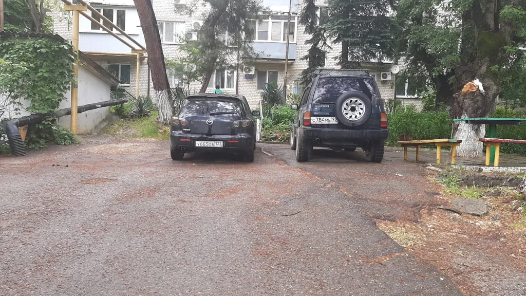 Уютная квартира в тихом зелёном районе недалеко от моря