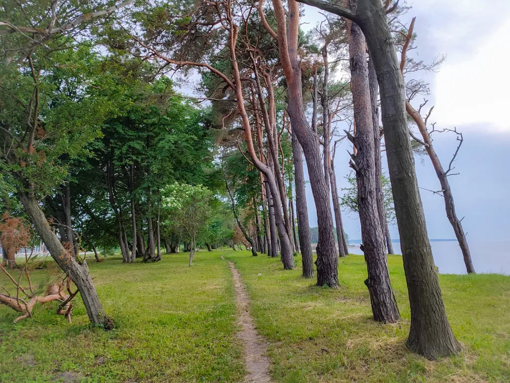 Дом с баней на берегу моря