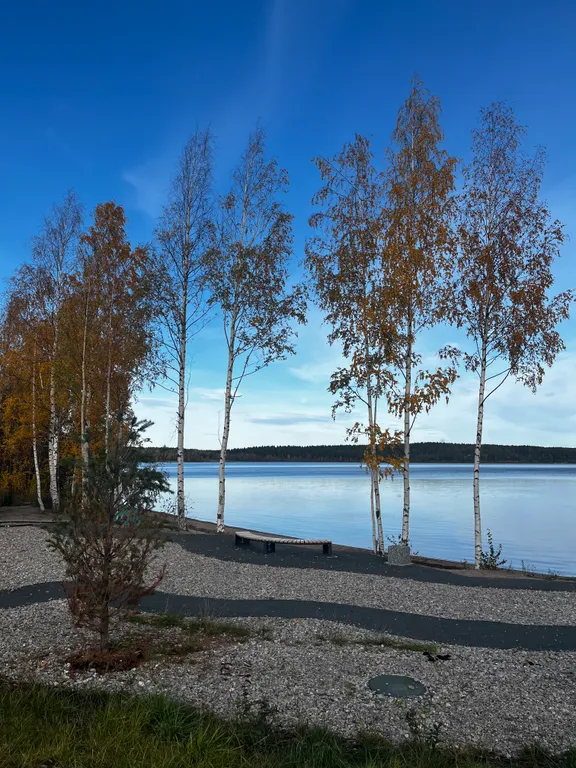 Видовые апартаменты Onego lakе