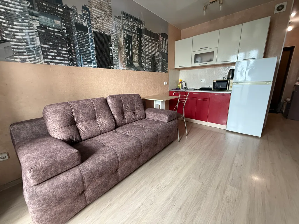 Студия - диван, стиралка, холодильник, СВЧ, водонагреватель