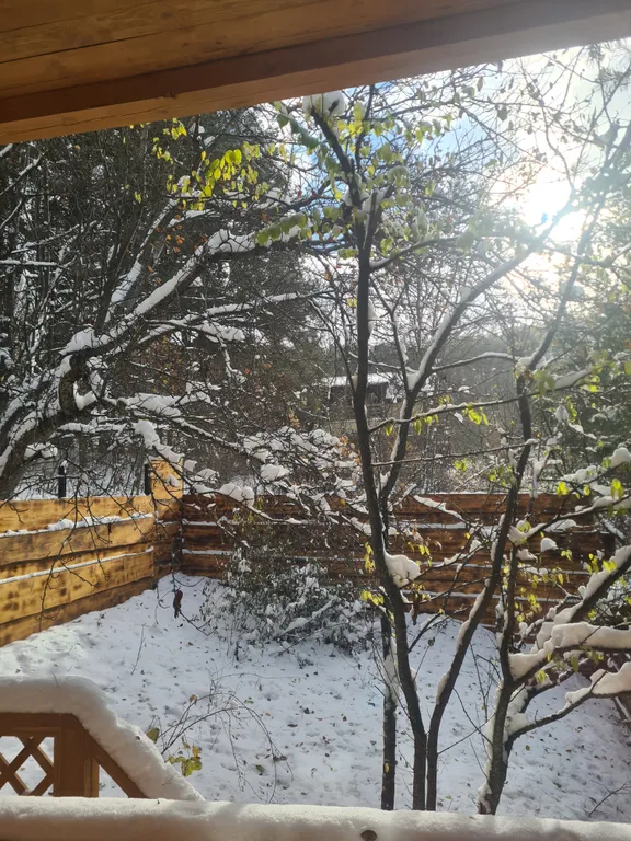 Коттедж Домик в лесу — Кисловодск