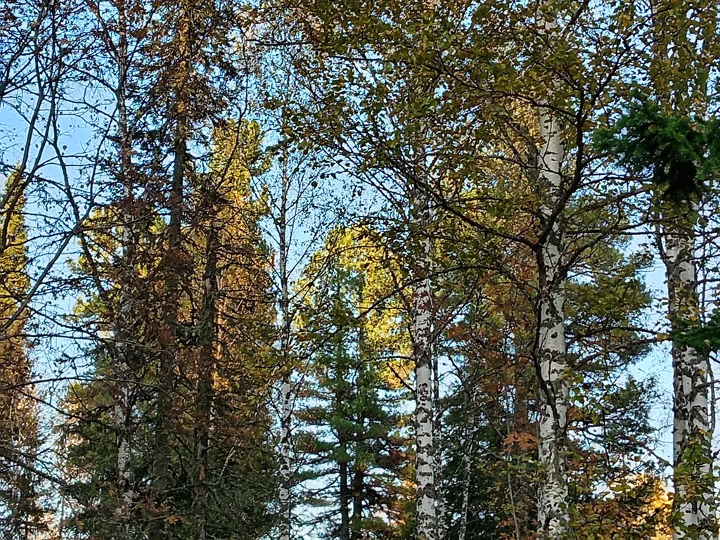 Гостевой дом премиум класса