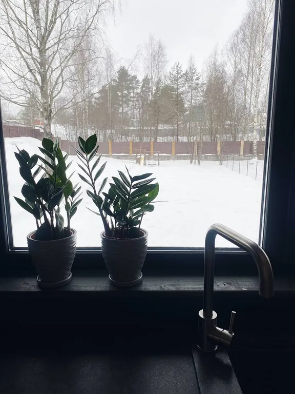 Коттедж Коттедж Dom.Vozle.Ozera — Санкт-Петербург