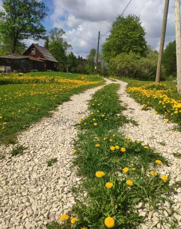 Коттедж 2-комнатный Дом — Красное Село