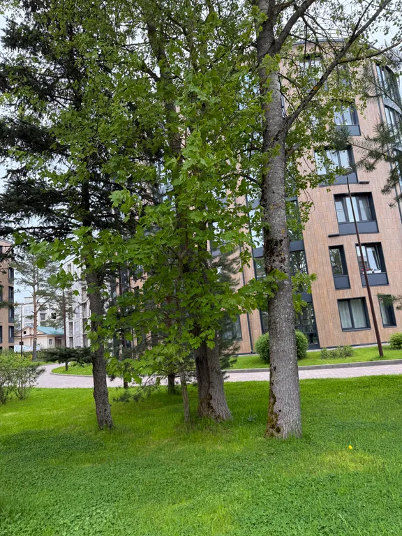 Апартамент на побережье