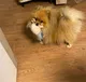 Ольга