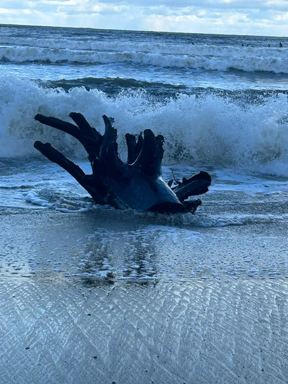 Таунхаус на побережье