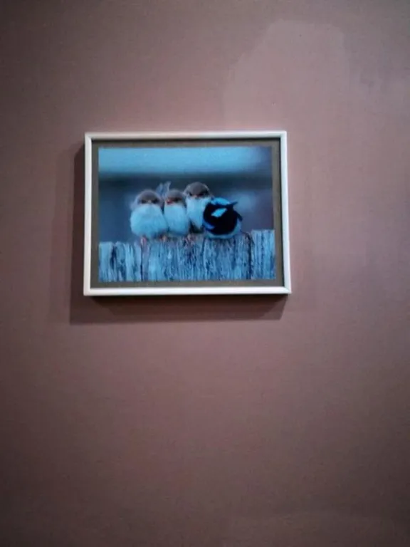 Апартамент в центре города Тбилиси