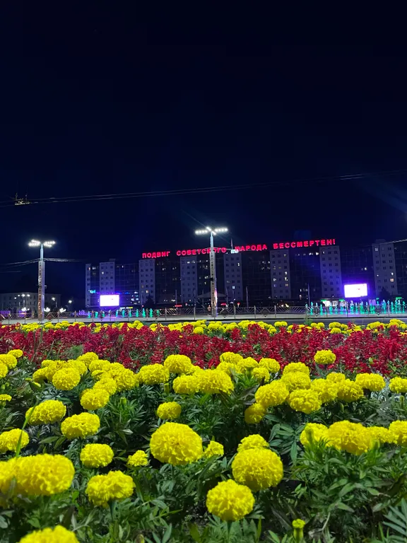 Апартамент в самом центре с видом на Площадь  Победы