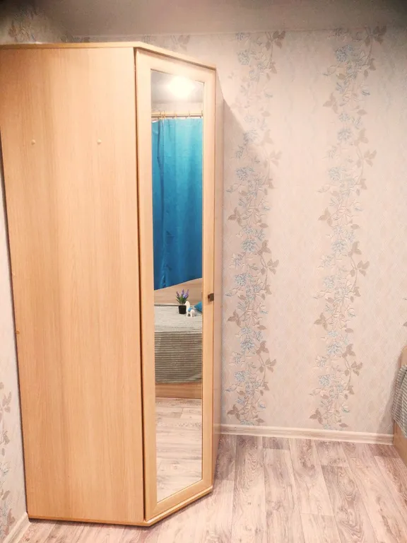 Однокомнатная квартира в центре города