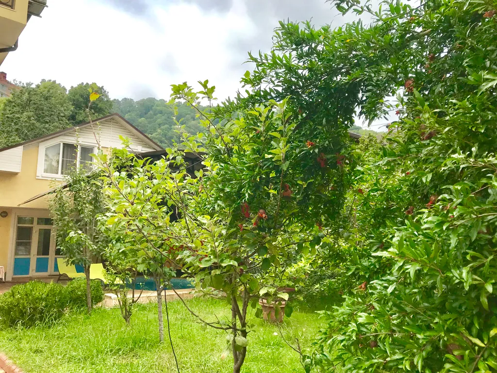 Домик у Моря Сочи с Бассейном