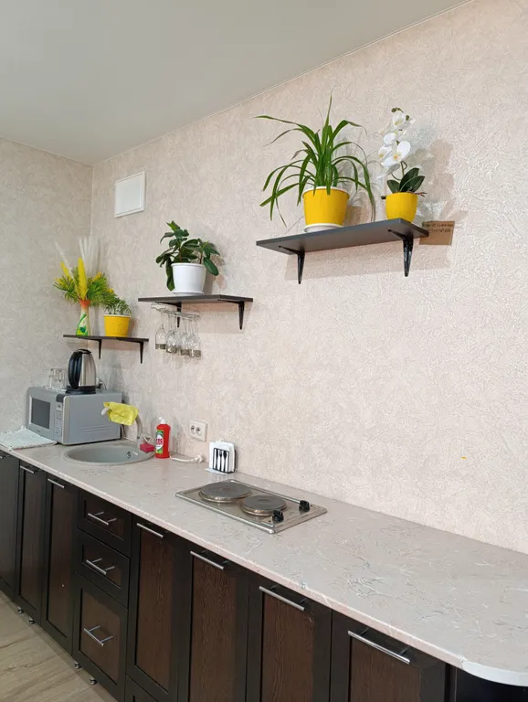 Студия с видом на горы