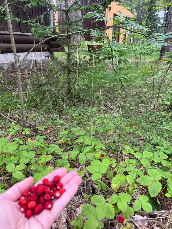 Домик недалеко от города