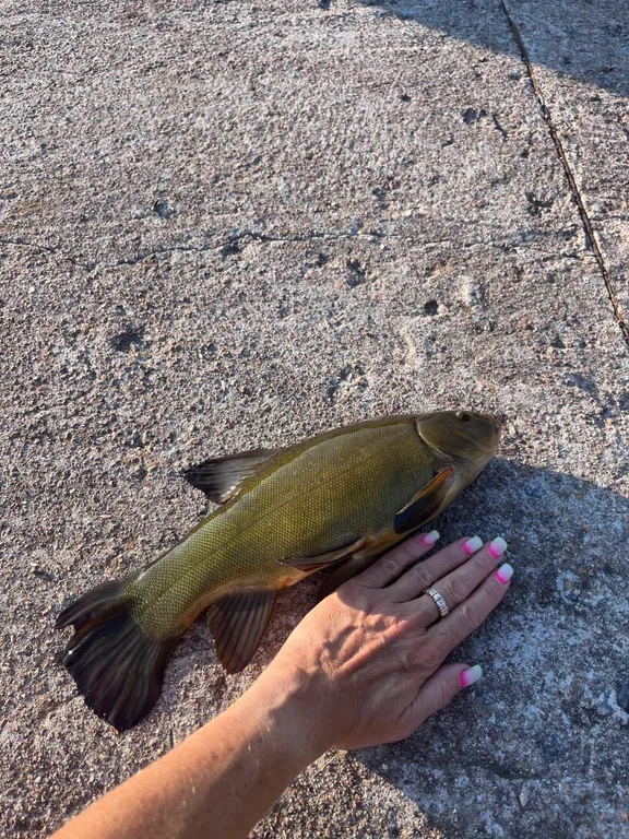 Домик с баней, солярием и джакузи