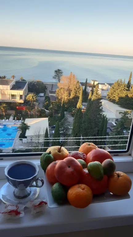 Квартира Квартира с потрясающим видом на море и горы — Гагра