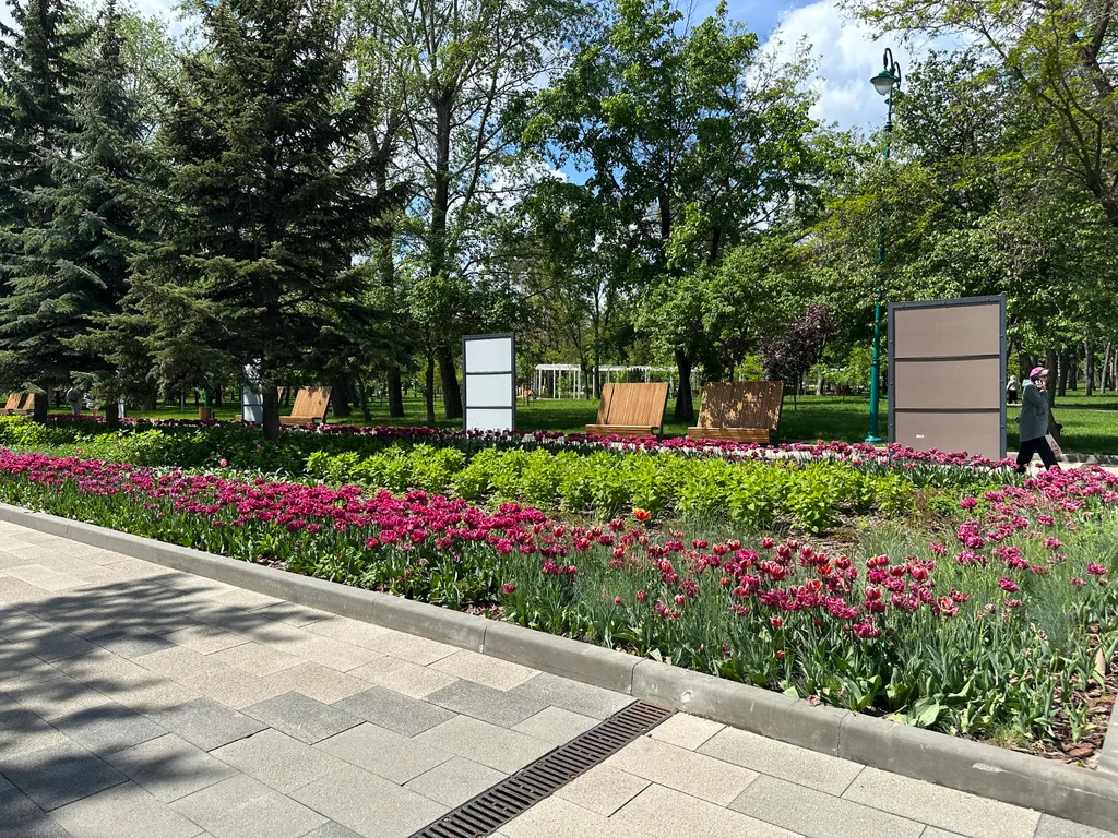 Квартира в центре города с видом на парк