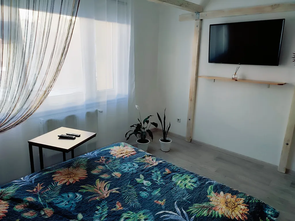 Квартира с кинотеатром