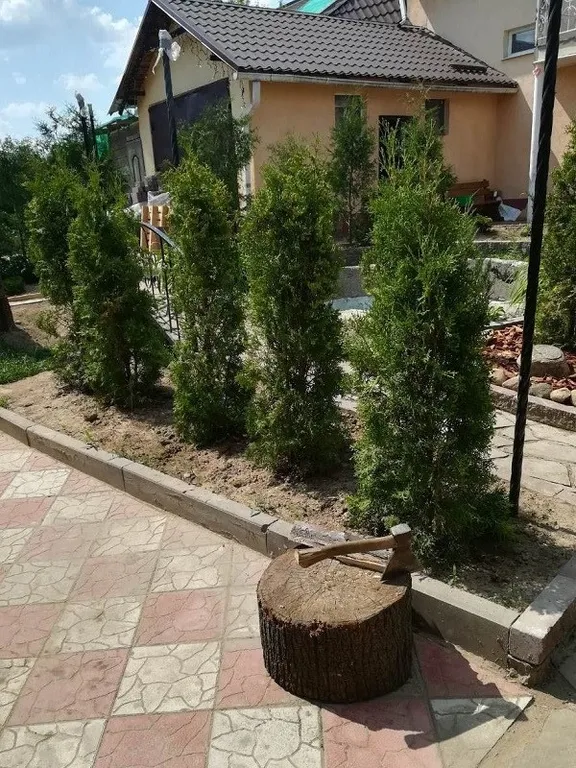 Коттедж Под липой