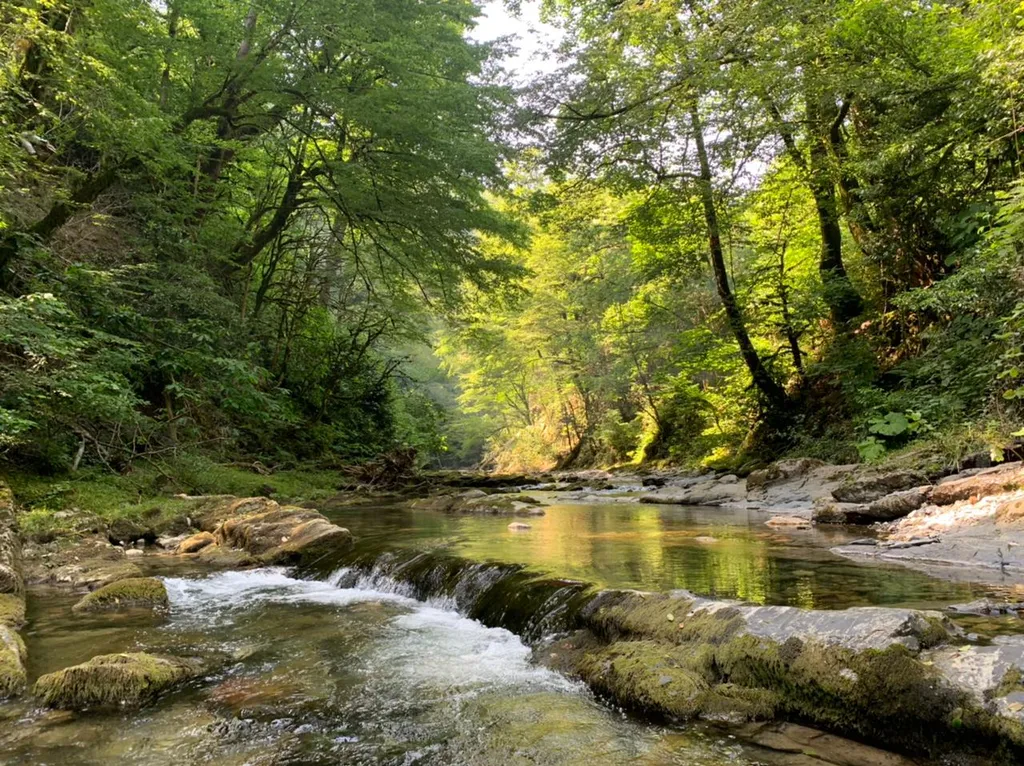 Апартаменты с видом на море