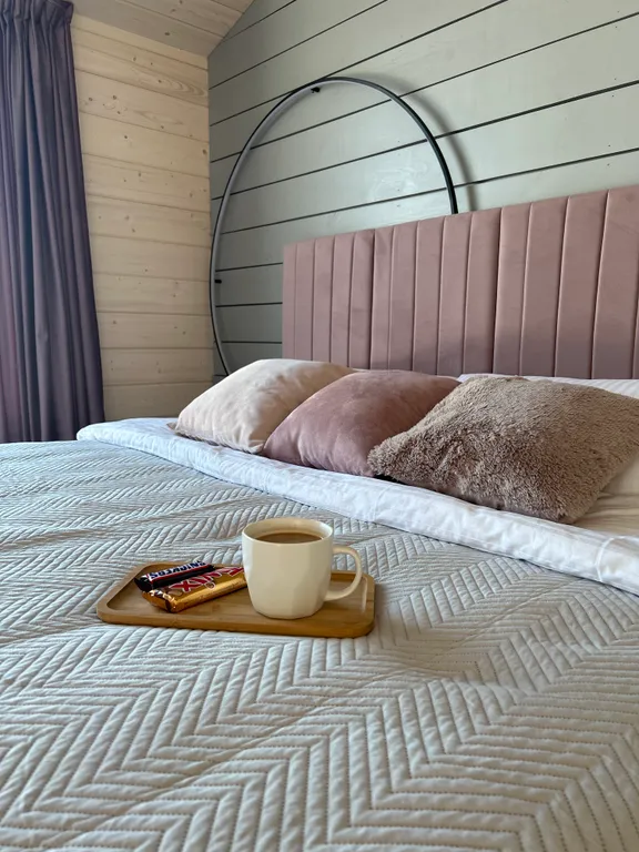 Туя пик Дом в Сорочанах с камином и баней на дровах