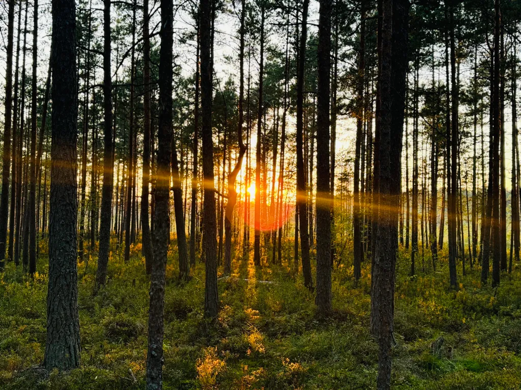 Коттедж Ладога Life — Коккорево