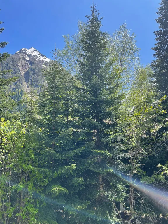 Уютный номер в сердце посёлка