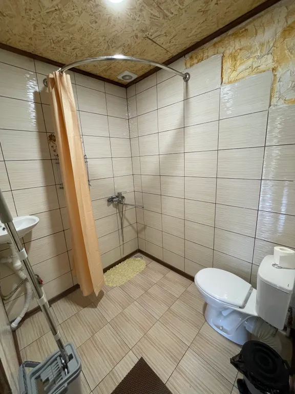 Деревенский домик в лесу