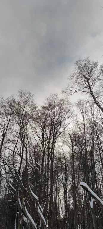 Коттедж Уютный дом в лесу — Казань