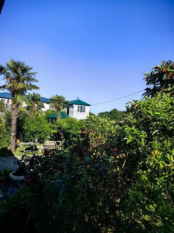 Студия у моря