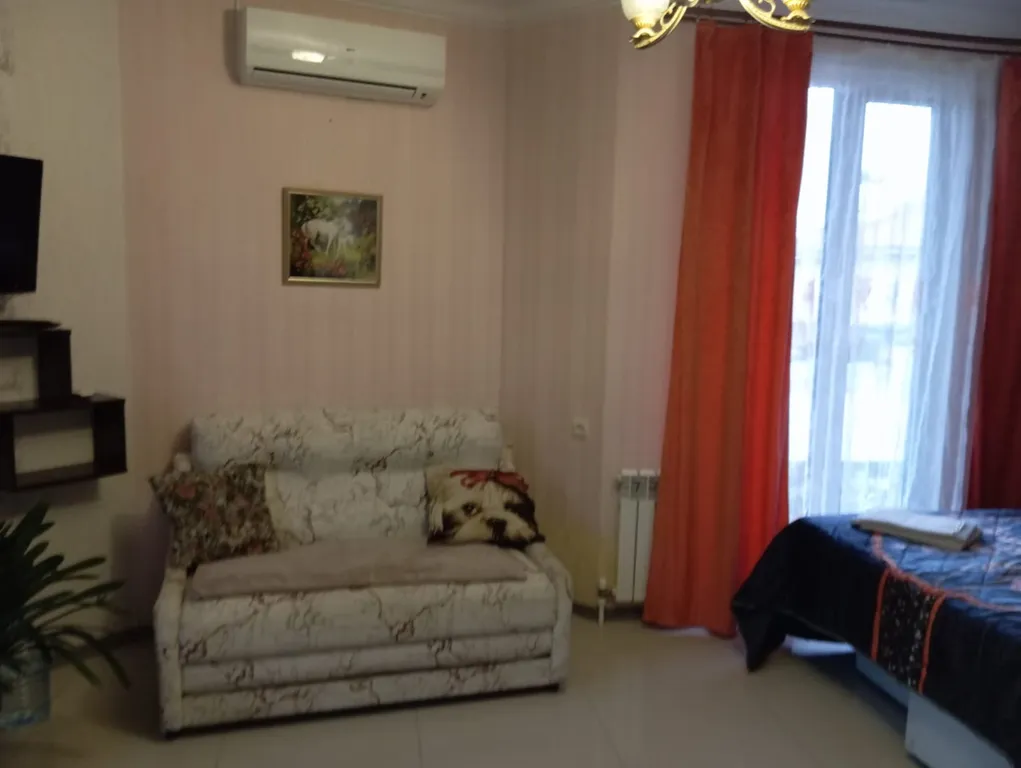 Квартира Квартира Уютная студия — Сириус