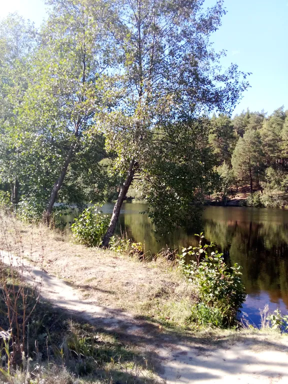 Гостевой домик