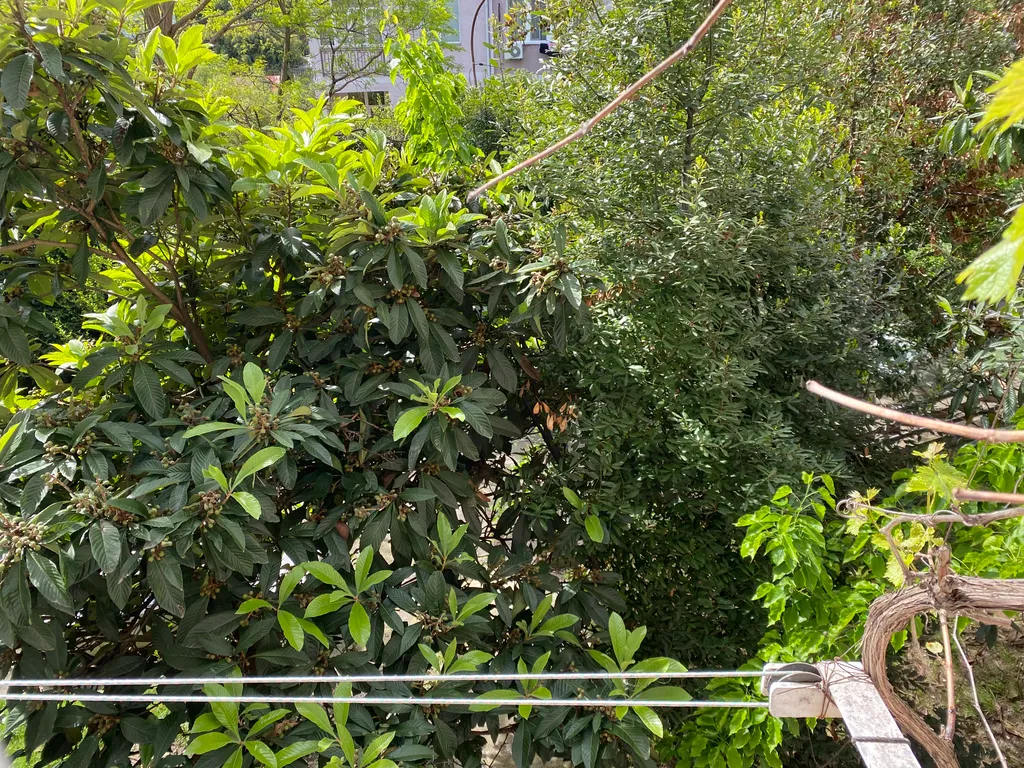 Квартира Квартира внизу Светланы — Сочи