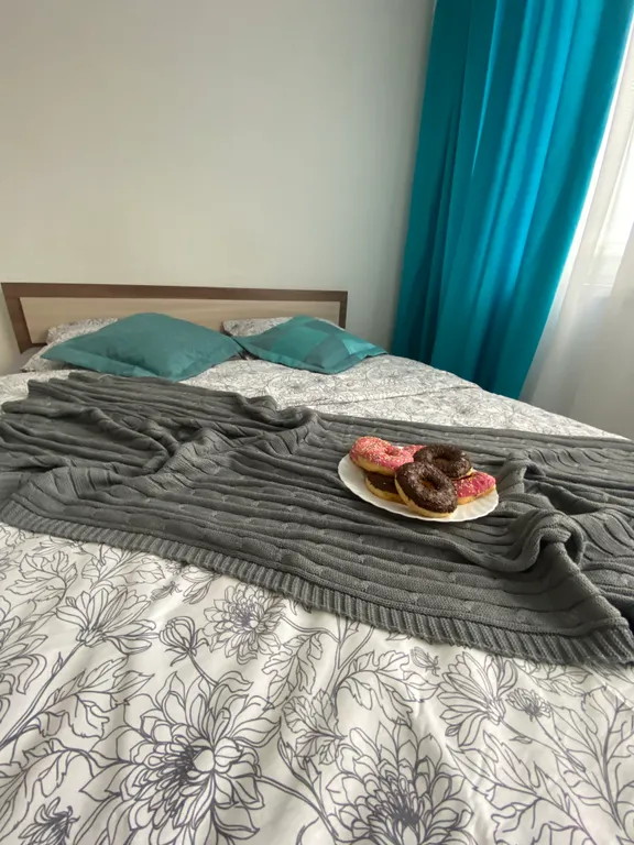 Уютная квартира в экологист чистом районе