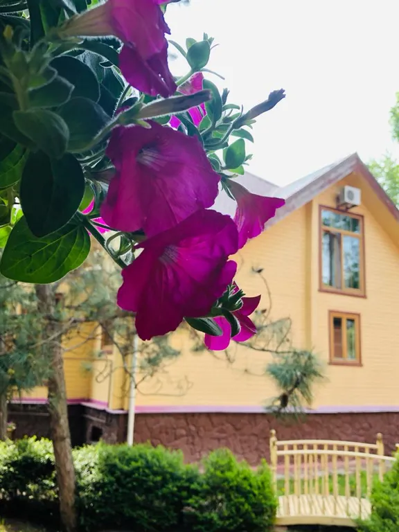 Дом с баней и бассейном