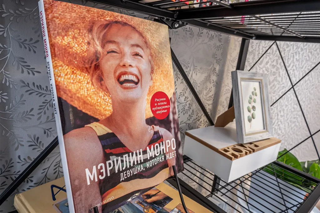 Квартира Монро/центр.автовокзал/краевая больница/центр.воен.госпиталь