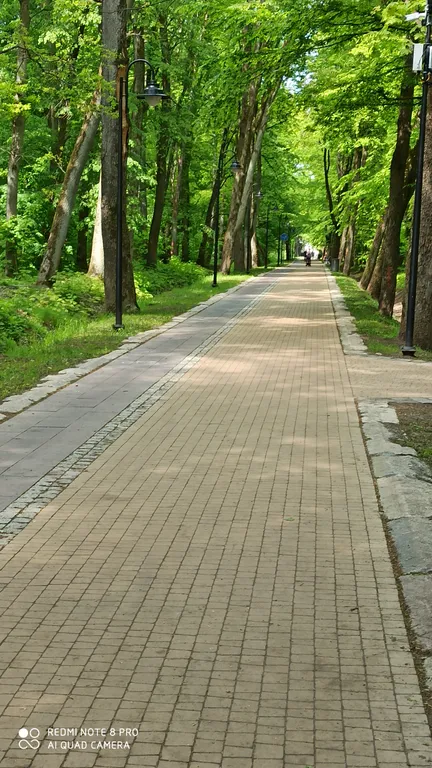 Квартира 3-комнатная квартира с гостиной видом на церковь и парк — Калининград