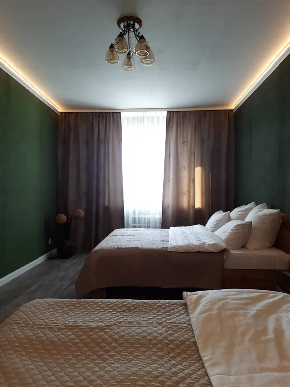 Рыжий Кот Дружный (просторная 2-ка с изолированной спальней)