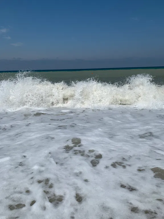 Квартира Квартира Уютный номер у моря для семьи — Любимовка