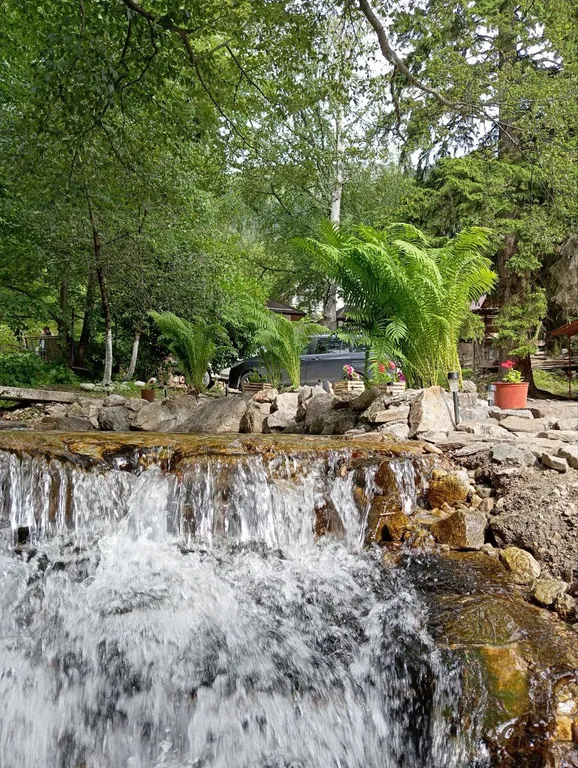 Целый этаж под ключ с видом на горы и лес Лодж