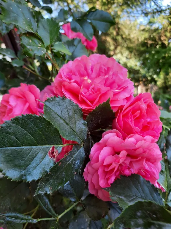 Домик в деревне в 5 километрах от моря