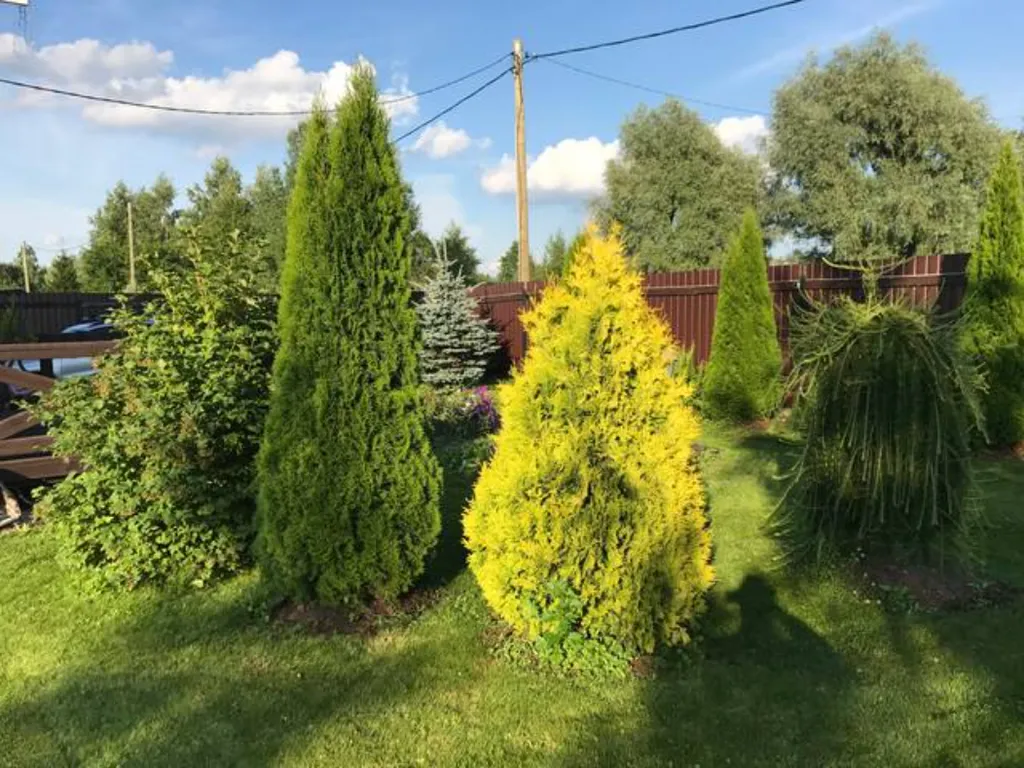 Smaland Семейный дом с сауной