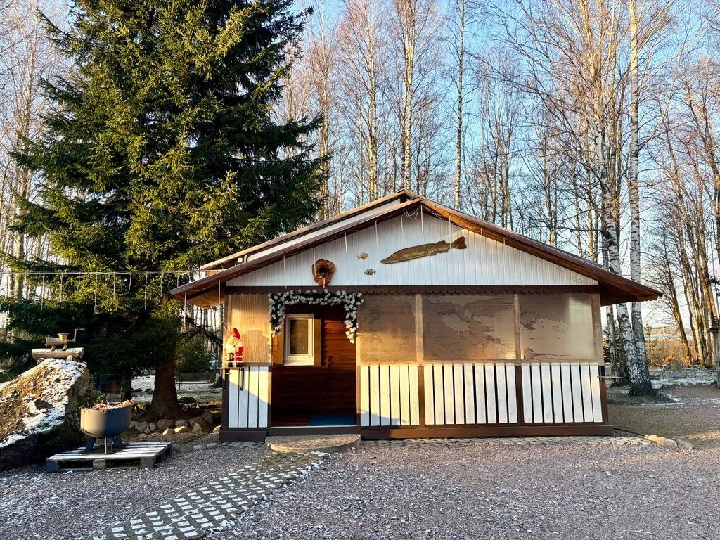 Дом с горячей купелью рядом с Выборгом