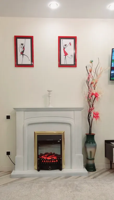 Кондиционер и камин.