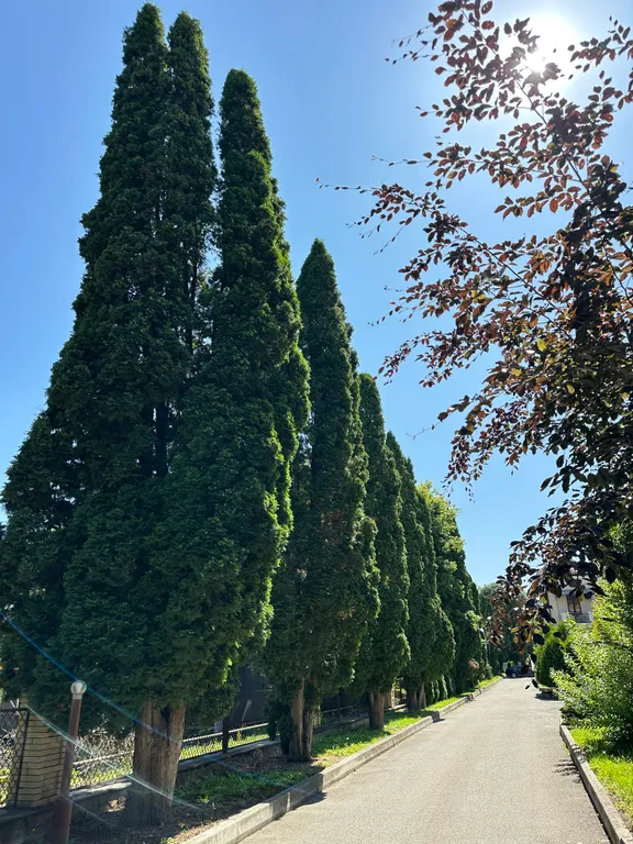 Уютная квартира в центре курзоны