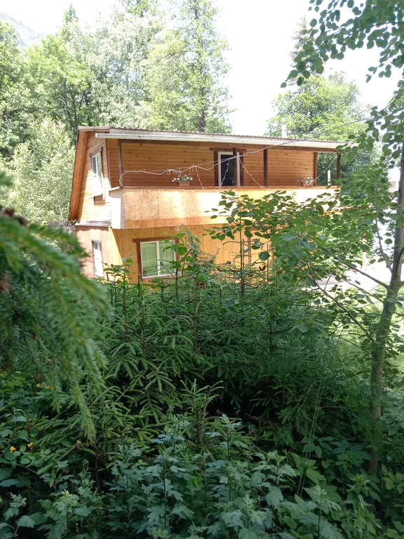 Новый дом в лесу Хатипара