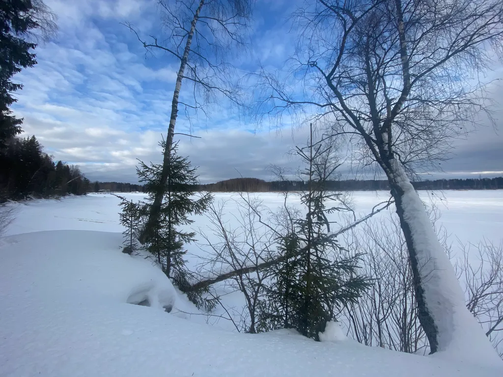 Современный коттедж Шон на Истринском водохранилище
